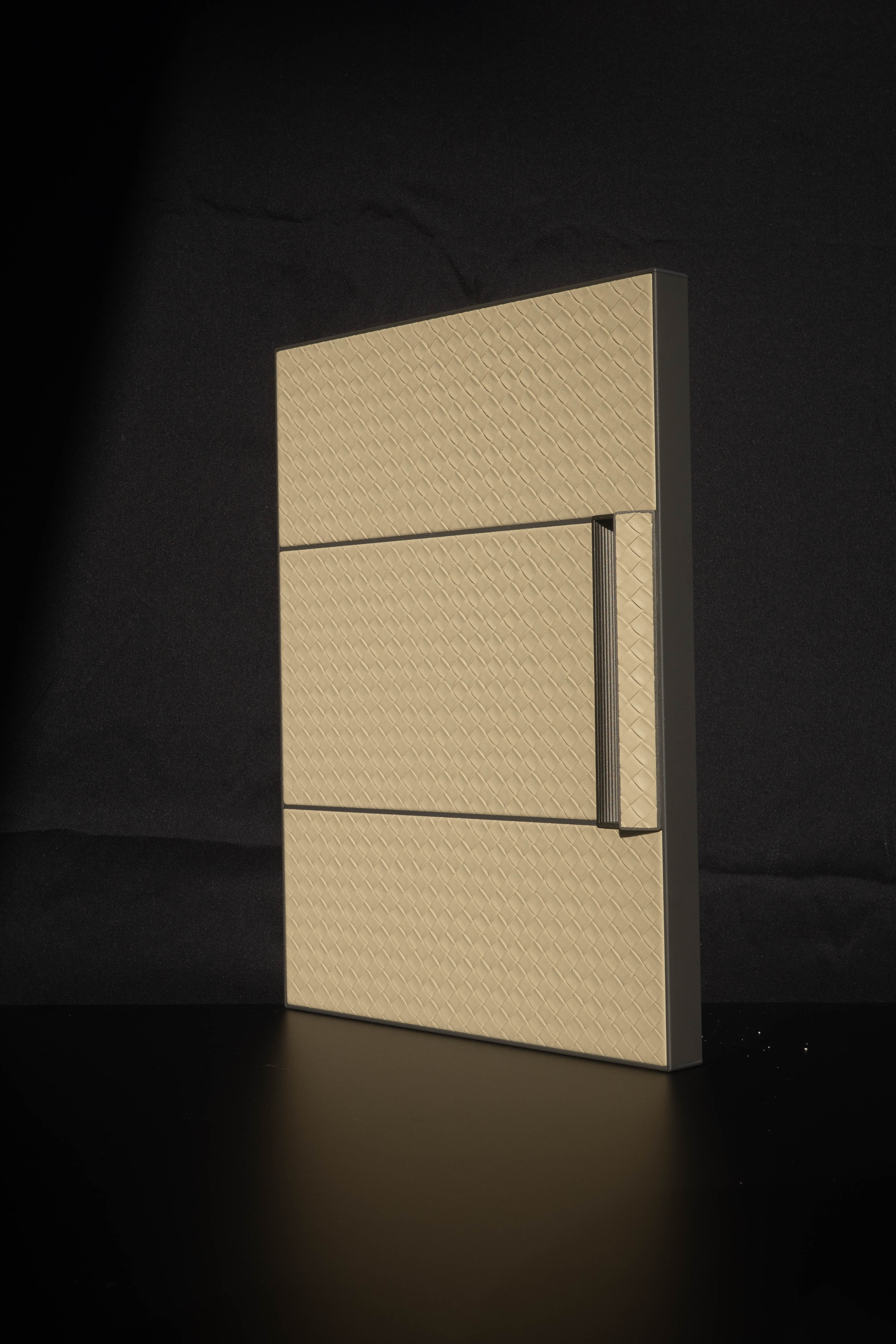 Paint-free decorative eco board for wardrobe and furniture finishes in Singapore